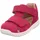BUMBLEBEE Rot 24