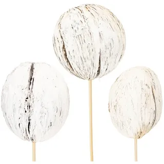 Trockenblume Dekorative Holzkugeln auf Stiel aus exotischen Naturmaterialien, 6 St, Florists Products, Höhe 10 cm weiß