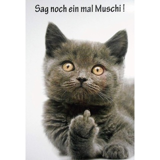 Schatzmix Tin Sign 20x30 cm Katze mit Stinkefinger Sag noch einmal Muschi Fun Spruch Warnschild Bar Kneipe Blechschild, Blech