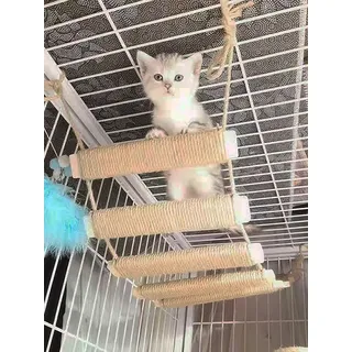 EHOTER Katzenklettergerüst Outdoor Katzenbaum Wand Kletterbrücke Kletterseil Leiter für Katze Haustiere Klettergerüst für Wand Katzenwand Möbel Seil (A)