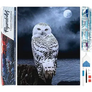 Figured'Art Diamond Painting Erwachsene 40x50cm Ganze Leinwand gerollt Weiße Eule 5D Bilder Eckige Steine - DIY Set Basteln