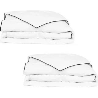 vidaXL Winter-Daunendecke 2 Stk. 155x220 cm