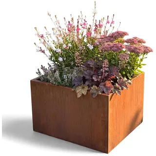 Czaja Cortenstahl Pflanzkübel 60x60x40 cm Fiorella - Made in Germany - Rost Deko Blumenkübel quadratisch – wetterfest & langlebig – Garten Terrasse Balkon – Edelrost Pflanzgefäß