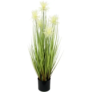 Flair Flower Protea im Grasbusch im Topf Nadelkissen Busch Ufergras Dekogras Gras Kunstgras künstliche Pflanzen Kunstpflanze Grünpflanze Solitärgras Dekopflanze, Weiß, 68 cm, 020906W