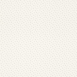 Rasch Tapeten Vliestapete (Grafisch) Grau weiße 10,05 m x 0,53 m Bambino XIX 253030