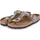 graceful taupe 39