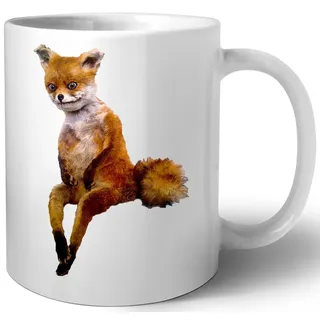 Entsteint Fuchs Das Präparatoren Fuchs Meme Keramik Tassen Mug