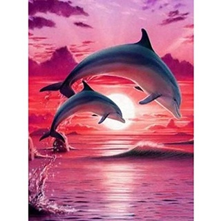 Malen nach Zahlen Erwachsene Delfine 40x50 cm Paint by Numbers DIY Öl Acryl Leinwand Bild Dekoration Rosa Sonnenuntergang Meer 1 Stück
