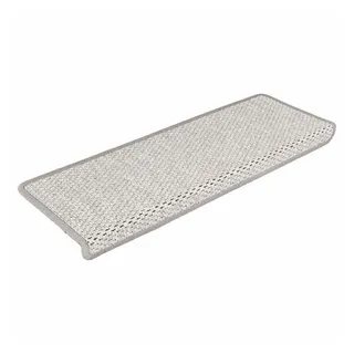vidaXL Stufenmatte 65 x 21 cm Platina