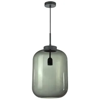 H4L 1-flg. Ø 30 cm rund transparent