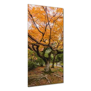 Wallario selbstklebende Duschrückwand 80 x 190 cm mit Motiv Gelber Ahornbaum im Herbst in Japan - Wandverkleidung mit Hochglanzlaminat in Glasoptik - Schwarz