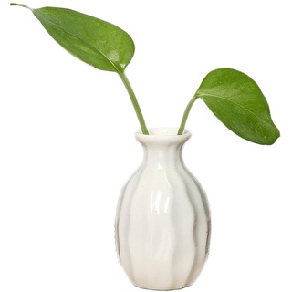 JUNGEN Klein Keramik Vase Mini Blumentopf Keramikvasen Dekoration Blumenvase, Weiß