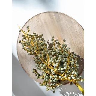 Blumigo Dattelzweig - Frischer Zweig - ca. 30 cm - Schnittblumen Stiel für die Vase - Echter Stiel - Dattelzweige zur Dekoration oder Hochzeit - Greenery - Natur