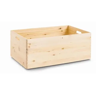 Zeller Aufbewahrungskiste 60 x 40 x 24 cm 1-tlg. beige