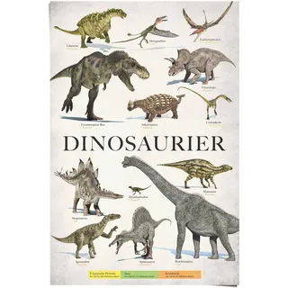 Poster REINDERS "Dinosaurier", grün (farbe bild(er): grün), B:61cm H:91,5cm, Papier, Bilder, Poster