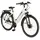 28 Zoll RH 54 cm Grau-Schwarz Matt