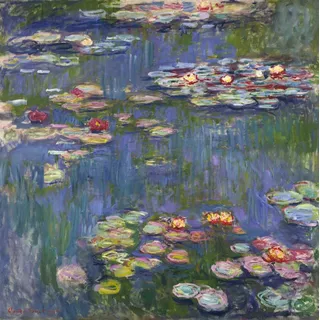 DTAUPREB Claude Monet Seerosen Malen nach Zahlen für Erwachsene DIY Ölgemälde Kits Leinwand Geschenk