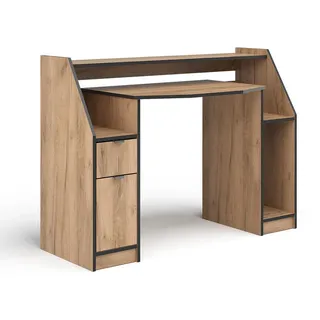 Vicco Joel Eiche Schwarz 123 x 45 cm Gamingtisch PC-Tisch Schublade Tür