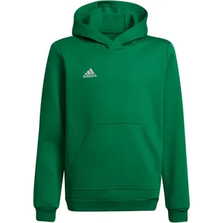 adidas Entrada 22 Team Green/White 128