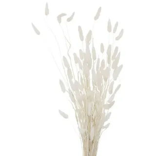 Boltze Zierzweige für Vase, 70 cm