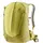 l sprout/linden