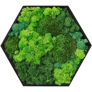 ECD Germany Haus Moosbild 38x34 cm