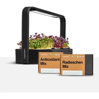 Ingarden Smart Garden Starter-Set - Indoor Garden mit LED für Microgreens - inkl. 12 Bio-Saatpads - Schale aus Keramik vulkanschwarz - skandinavisches Design - erntereif in nur 7 Tagen, ohne Erde.