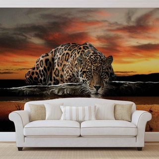 Forwall Fototapete Tapete Jaguar und Sonnenuntergang AF126P4 (254cm x 184cm) Photo Wallpaper Mural