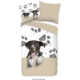PURE luxury collection Yuan Hund Beige 135 x 200 cm + 2 x 80 x 80 cm