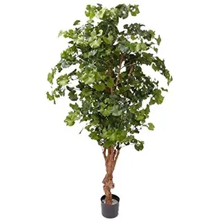 Künstlicher Ginkgo Sweet Kunstbaum Ginkobaum ca. 210cm | Naturstamm, 1456 Blätter, Im Topf, Hochwertig