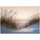 Strand in Beige Gr 250 x 175 cm