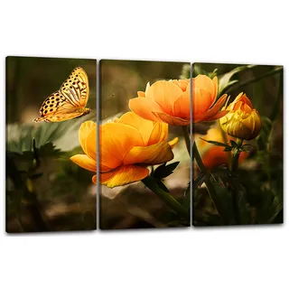 Printed Paintings Leinwand 3-teilig(120x80cm): Blumenbilder Schmetterling auf gelb-orangen Blumen