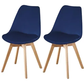 Set Aus Zwei Skandinavischen Fream Stühlen Marineblau - Marineblau