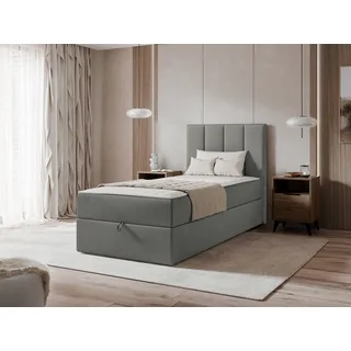 Mirjan24 Rebos 100 x 200 cm H3 Grau