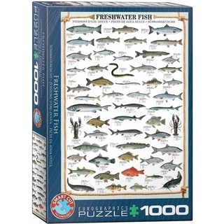 Eurographics Süsswasserfische (1000 Teile)