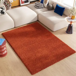 TAPISO Essence Teppich Hochflor Langflor Shaggy Ziegelrot Rechteckig Super Weich Felloptik Schlafzimmer Wohnzimmer ÖKO-TEX 200 x 300 cm