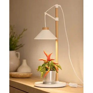 NORTHPOINT LED Pflanzenleuchte Echtholz, 9W 550lm Kräutergarten Timer | Weißes Vollspektrum, 97 Ra Farbwiedergabe, für Topfpflanzen bis 40cm, 100cm Zuleitung mit Schalter, Tischgestell mit Schale