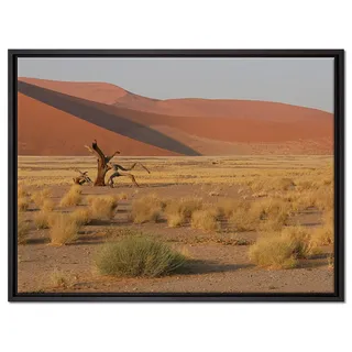 Pixxprint vertrockneter Baum in Wüste Leinwandbild 80x60 cm im Bilderahmen, Wandbild, Schattenfugenrahmen, Kein Poster