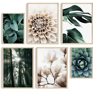 Hambient Poster Set, Wohnzimmer Deko Schlafzimmer, Zimmer - Wanddeko, Wandbilder - Bilder OHNE Bilderrahmen (Botanik Grüne Pflanzen, 4 x 30x40 cm, 2 x 21x30 cm)