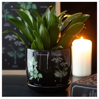 Something Different Wholesale something different - Blumentopf Poisonous Plants
