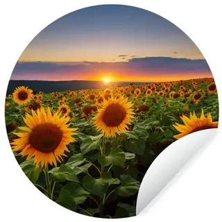 MuchoWow Wandsticker Blumen - Nacht - Sonnenuntergang - Sonnenblume - Horizont (1 St), Wanddeko Wohnzimmer Schlafzimmer Wandverkleidung, 50x50 cm bunt 50 cm x 50 cm x 0.1 cm