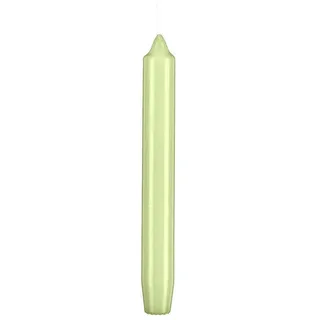 Kopschitz Kerzen Tafelkerze Kiwi 190 x 21 mm 90 St. grün