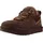 Dusted Cocoa 40