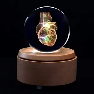 UIGJIOG Kristallglaskugel Menschliches Herz Anatomisches Modell 3D Briefbeschwerer Laser Geätzt in Kristallglaskugel Wissenschaft Lehrmittel Inklusive Sockel