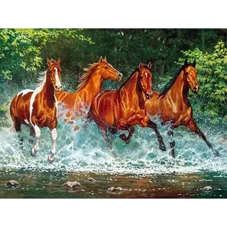 Hoobee 5D Diamond Painting DIY Set Pferd, Diamond Painting Bilder Tier, Vollbohrer Stickerei Kreuzstich Kunst Handwerk für Zuhause Wanddekoration (30×40 cm)