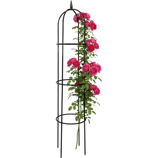 Metall Rankhilfe 200 x 40 cm - Rosensäule Rosenbogen Rankgitter Rank Obelisk Rosengestell Rankturm