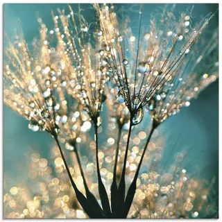 Glasbild ARTLAND "Pusteblume Schirmchen abstrakt", blau (farbe bild(er): blau), B:50cm H:50cm, Bilder, in verschiedenen Größen