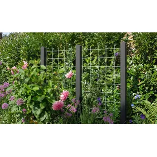 Stahl Rankgitter Blavand 90 x 180 cm - Metallspalier aus feuerverzinktem Stahl, Schwarz – Rankhilfe für Kletterpflanzen – Kletterhilfe für Pflanzen