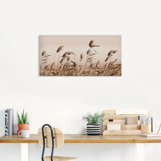 Leinwandbild ARTLAND "Gräser", beige (farbe bild(er): natur), B:100cm H:50cm, Bilder, Leinwandbild, auf Holzrahmen gespannt
