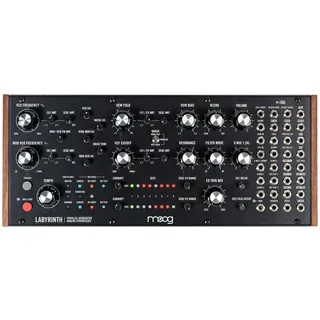 MOOG Labyrinth - Synthesizer